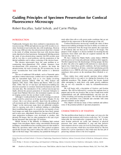 Guiding Principles of Specimen Preservation for Confocal