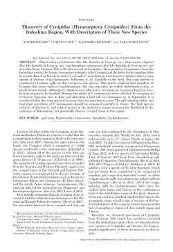 From the Indochina Region, With Description of Three New Species