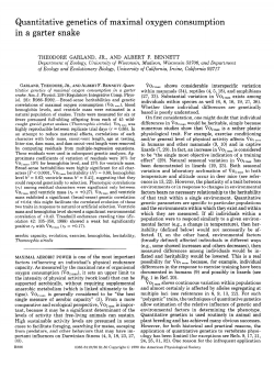 Quantitative genetics of maximal oxygen consumption in a garter