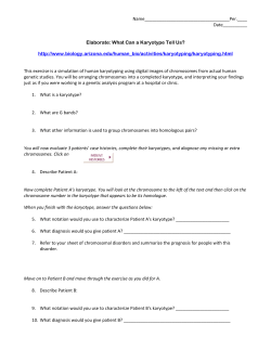 karyotyping activity