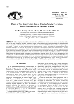 Effects of Rice Straw Particle Size on Chewing Activity, Feed Intake