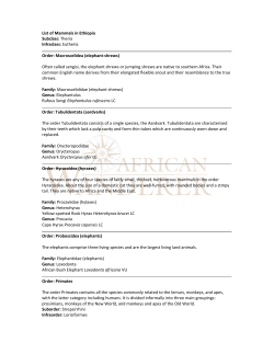 List of Mammals in Ethiopia