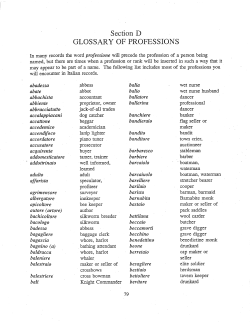 Section D: Glossary of Professions