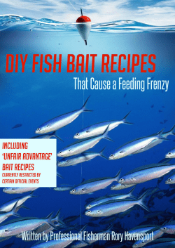 DIY Fish Bait Recipes