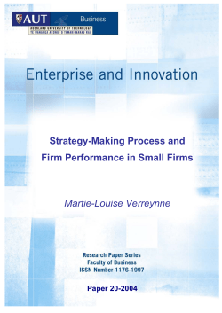 Strategy-Making Process and Firm Performance in
