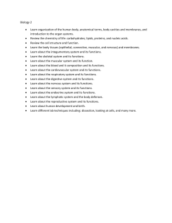 Biology 2 &bull; Learn organization of the human body, anatomical terms