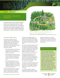 Growing Canada`s Forests