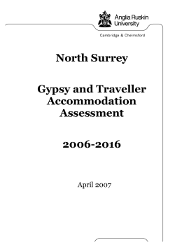 North Surrey Gypsy and Traveller Accommodation Assessment