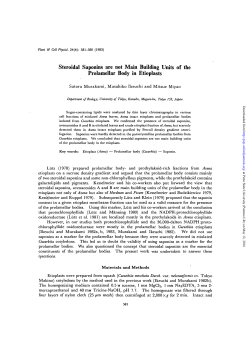 Steroidal Saponins are not Main Building Units of the