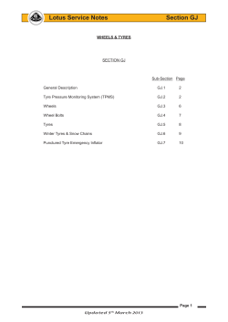 Lotus Service Notes Section GJ - VSI