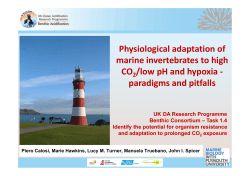 Physiological adaptation of marine invertebrates to high CO /low pH