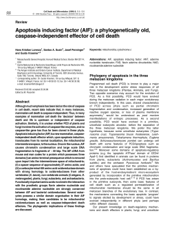 Apoptosis inducing factor (AIF): a phylogenetically old