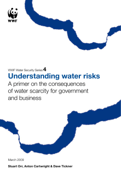 Understanding water risks