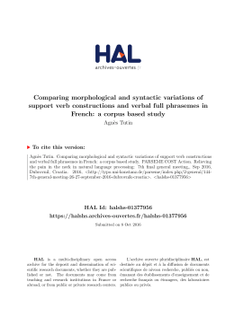 Comparing morphological and syntactic variations of support verb