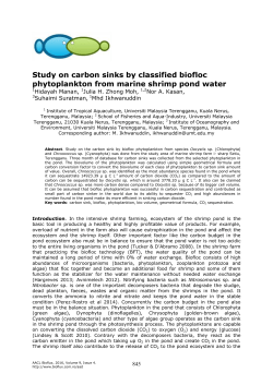 Study on carbon sinks by classified biofloc phytoplankton