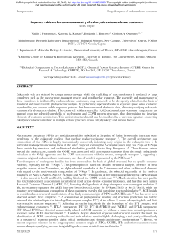 Sequence evidence for common ancestry of eukaryotic