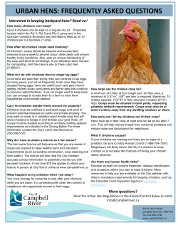 Urban Hens FAQs - City of Campbell River
