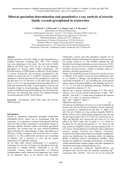 Mineral speciation determination and