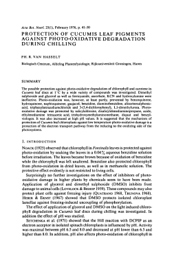 Protection Cucumis pigments against photo