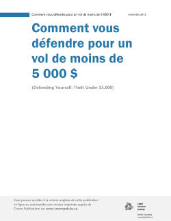 1 Comment vous d&eacute;fendre pour un vol de moins de 5 000