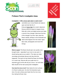 Professor Plant`s investigation ideas.