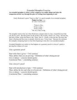 Extended Metaphor Exercise