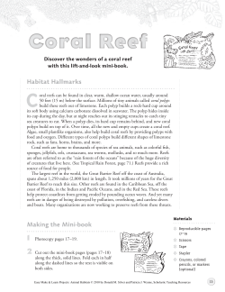 Coral Reef - Scholastic