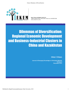 Dilemmas of Diversification: Regional Economic Development and