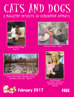 FREE February 2017 - Janet Vormittag`s