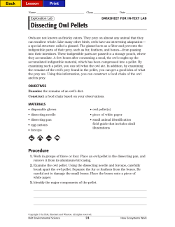 Dissecting Owl Pellets - Environmental Science 4502