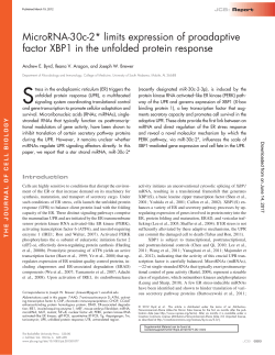 MicroRNA-30c-2* limits expression of proadaptive factor XBP1 in the
