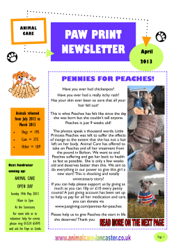 paw print newsletter