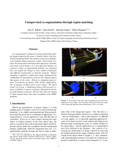 Unsupervised co-segmentation through region matching