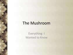 The Mushroom - Lloyd Library and Museum