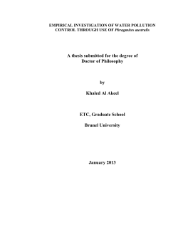as a PDF