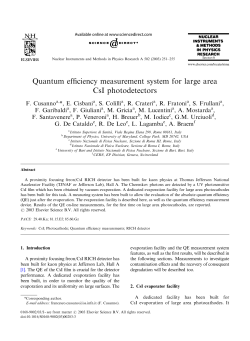 Quantum efficiency measurement system for large area CsI