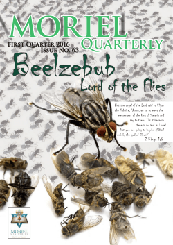Beelzebub Lord of the Flies