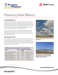 SE NM Fact Sheet - Power for the Plains