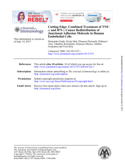 Endothelial Cells Junctional Adhesion Molecule in Human Causes