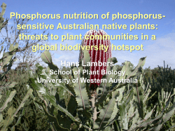 Phosphorus Nutrition of Phosphorus-sensitive Australian