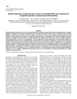 Gender expression and group size: a test in a hermaphroditic and a