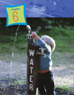 Chapter 6: Physical Development and Health During the First Three