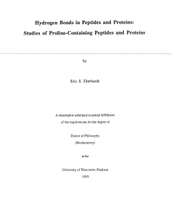 Hydrogen Bonds in Peptides and Proteins: Studies
