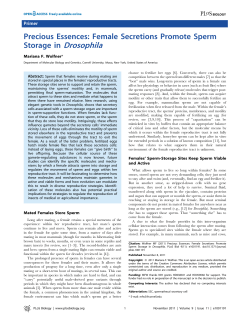 Female Secretions Promote Sperm Storage in Drosophila