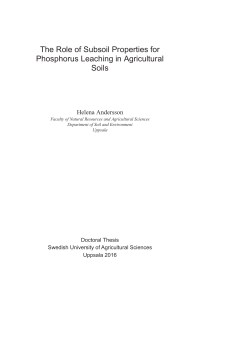 The Role of Subsoil Properties for Phosphorus Leaching in