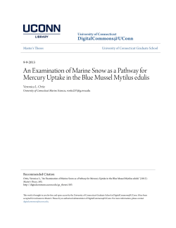 An Examination of Marine Snow as a Pathway for Mercury Uptake in