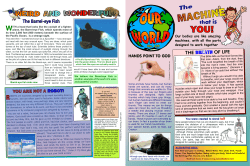 The Barrel-eye Fish - Creation Resources Trust