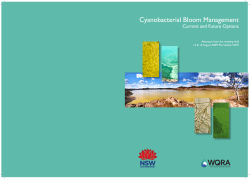 Cyanobacterial Bloom Management