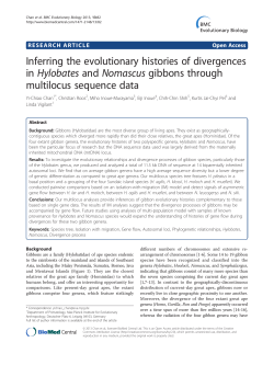 Inferring the evolutionary histories of divergences in Hylobates and