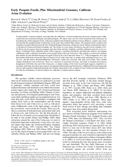 Early Penguin Fossils, Plus Mitochondrial